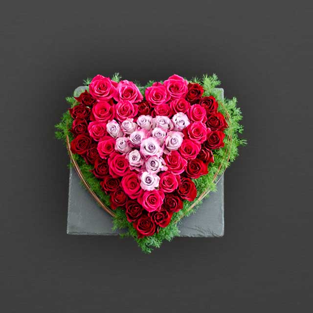 slider-pflanzenhilfe-rosengesteck-mobile